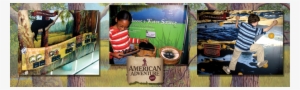 American Adventure Bottom Banner - Kopi Tubruk