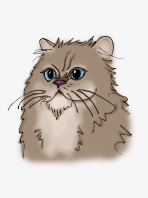 Persian - British Longhair