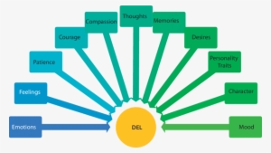 Conceptualisations Associated With Del In Persian - Mental Imagery