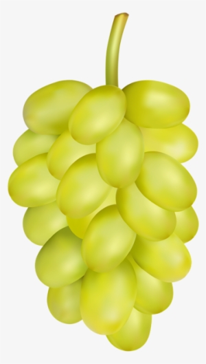 White Grape Png Clip Art - Clip Art