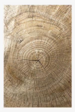 Circle