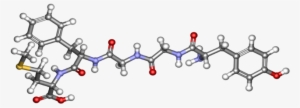 320 × 119 Pixels - Chlorpromazine Binding D2 Receptor