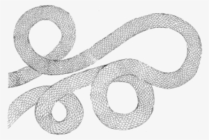 Snake - Portable Network Graphics