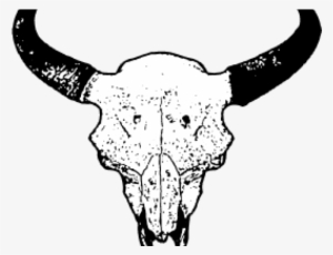 Outline Bull Skull Png