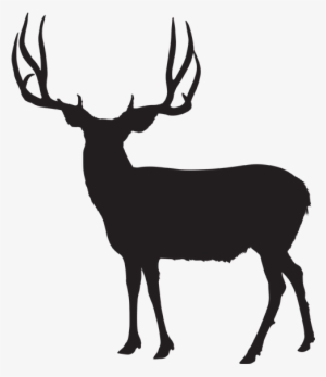 Clipart Transparent Silhouette At Getdrawings Com Free - Mule Deer Silhouette