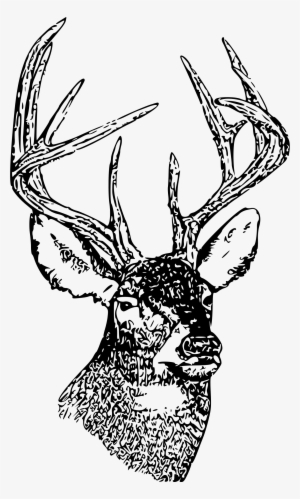 This Free Icons Png Design Of Whitetail Deer Head