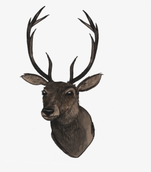 Deer Head Png File - Portable Network Graphics