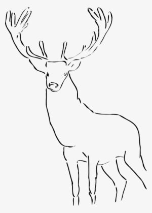 Stag Clipart Simple - Stag Clip Art
