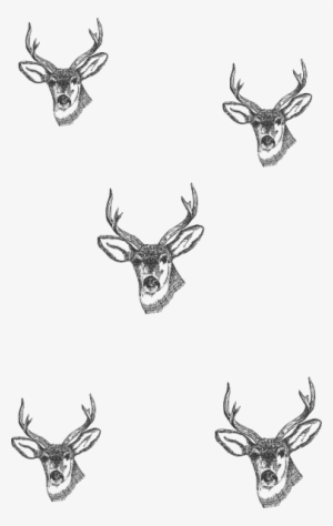 Picture Library Download Deer Heads Small Clip Art - Small Deer Head Drawing