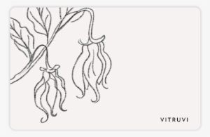 Gift Card - Vitruvi - Vitruvi