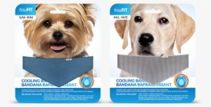 Cooling Bandanas - Blue Small Size Dogs, Foufit Extra Absorbent Cooling