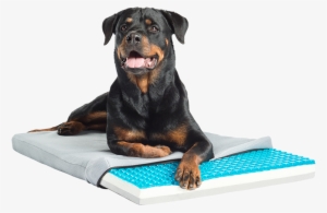 Gel Cell Cooling Cushion With Tri-core Charcoal Infused - Cooling Dog Bed