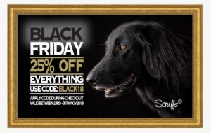 Scruffs Black Friday - Companion Dog
