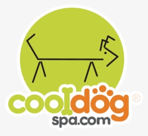 About Us Cool Dog Spa - Shampoo