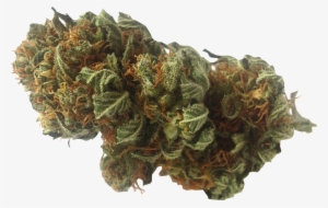 Marijuana - Weed Nugget Png Transparent