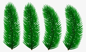 Pine Branches Transparent Clip Art Image - Clip Art