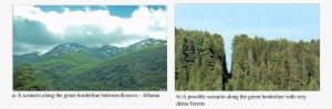 Possible Scenarios Along The Border With High Forests - Shortleaf Black Spruce