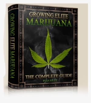 Killer Dank Buds - Growing Elite Marijuana [book]