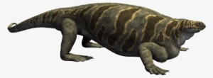 Cotylorhynchus - Dinosaurs Alive Wiki Dimetrodon