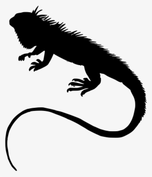 Download Png - Iguana Silhouette