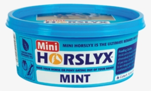 Horslyx Mint Mini Vit & Mineral Lick 650g - Horslyx Mini Mint