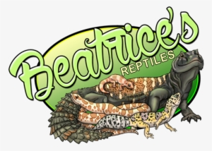 Beatrice's Reptiles - Gila Monster