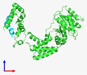 Pdb 3kl4 Coloured By Chain And Viewed From The Front