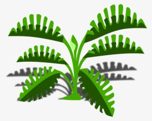 Philodendron Png