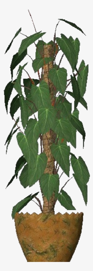 Plantas 3d - Philodendron Scandens - Software