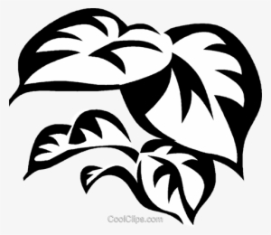 Philodendron Royalty Free Vector Clip Art Illustration - Terrace