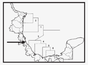 Cladograma Del Análisis De Parsimonia De Endemismos - Cladogram