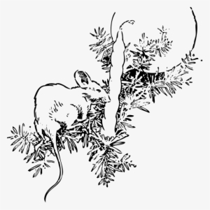 Mouse And Candle Png Clip Arts - Fir Tree