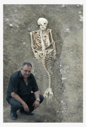 Pago Bay Resident Finds Mermaid Skeleton On His Property - Man Found A Mermaid In Florida