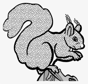 Black And White Squirrel Coloring Book Drawing - Heart Background