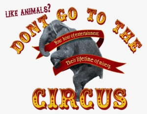 No To Circus - Hurrah For The Circus