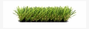 Césped Artificial Xcellent Grass - Cesped Artificial Png