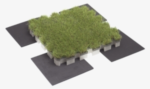 Roofingreen - Nature Drain - System
