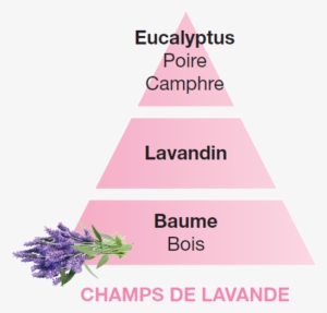 Lavender Fields 500ml - Lampe Berger Champ De Lavande