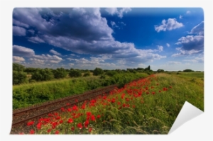 Beautiful Rural Scenery With Wild Flowers And Ominous - Gökyüzü