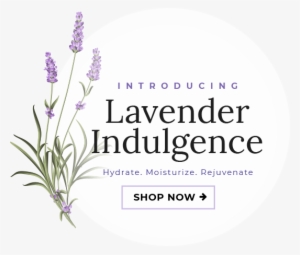 For Spa Line Products Only - Fernleaf Lavender