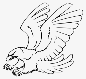 How To Draw A Hawk, Red-tailed Hawk - Eagle Clipart Black And White