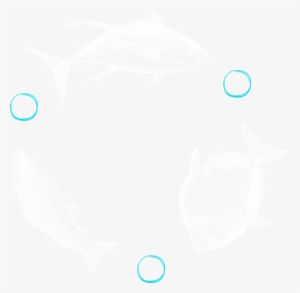 Blue Circle Image Of Three Illustrated Fish - Bony-fish