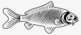 Fish 29 Clip Art At Clker - Fish Line Art Png