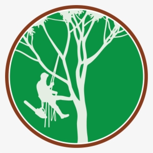 Paul The Tree Climber Icon - Tree Climber Clipart