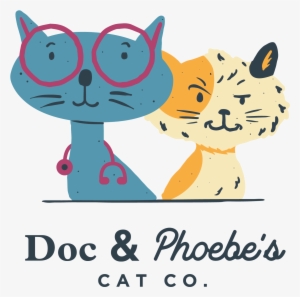The Top Three Reasons That Your Cat Is Suddenly Spending - Doc And Phoebe