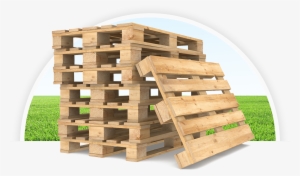 Wood Used In Cargo