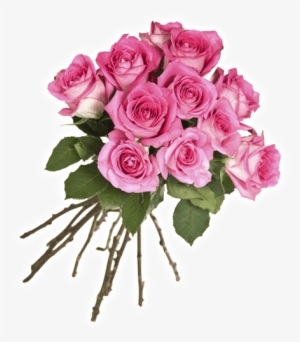 Florería De La Rosa - Flower