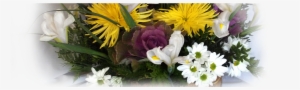 Arreglos Florales Floristería