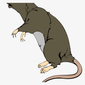 Rat Clipart Grey Greedy Clip Art At Clker Vector Online - Clip Art