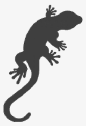 Gecko Lizard - Car Stickers Lizard Gecko Sticker